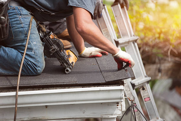 Best Metal Roofing Contractor  in Pine Mountain Clu, CA